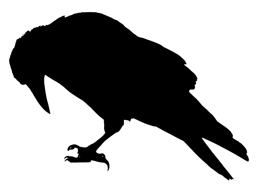 bird icon